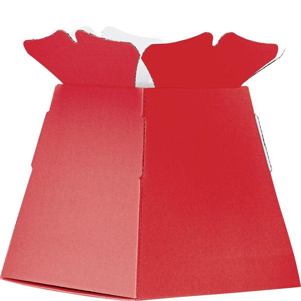 Living Vases � Red Castillo Box_1