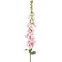 Foxglove (Wild) Light Pink