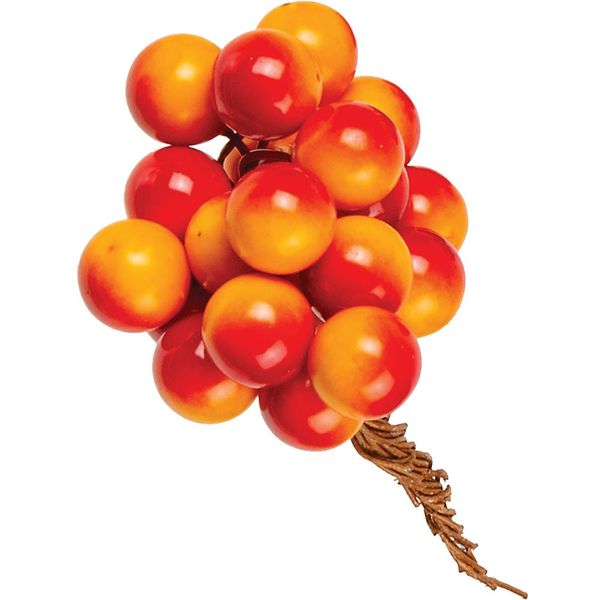 Berry Bunch on Wires � Orange