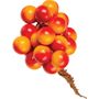 Berry Bunch on Wires � Orange