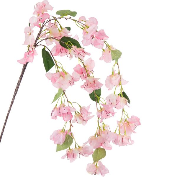 Bougainvillea (Cascade Branch) Pink