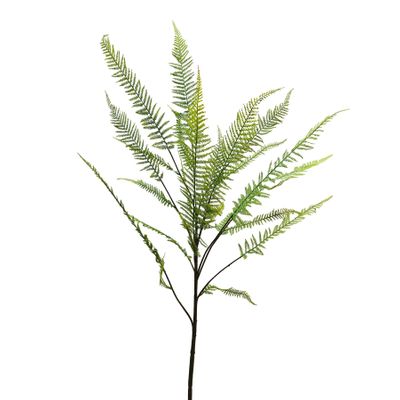 Botanica Fern Leaf Branch - 162cm