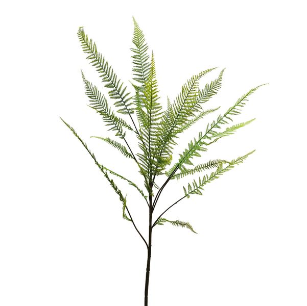 Botanica Fern Leaf Branch - 162cm