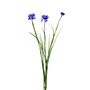 Botanica Cornflower - Purple - 69cm