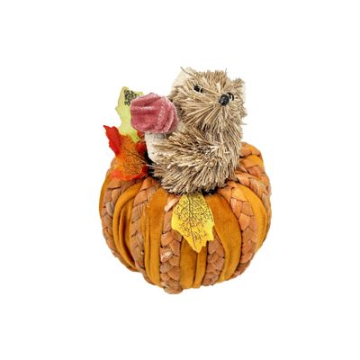 Squirrel in a Pumpkin - H16 x Dia11cm