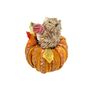 Squirrel in a Pumpkin - H16 x Dia11cm
