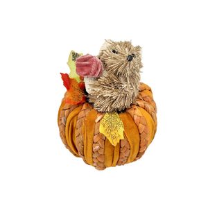 Squirrel in a Pumpkin - H16 x Dia11cm