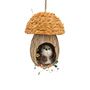 Squirrel in a Mushroom House - H15cm