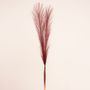 Wispy Feather Pick � Grape Purple