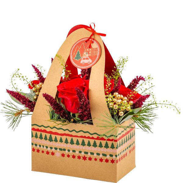 Hand Tie Gift Bag Planter  Christmas Stories_3