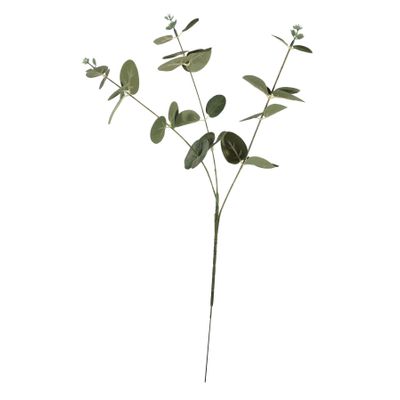 Essential Eucalyptus - Silver