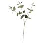 Essential Eucalyptus - Silver