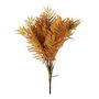 Essential Autumn Fern
