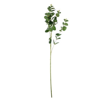 Essential Eucalyptus Spray - Green