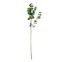 Essential Eucalyptus Spray - Green