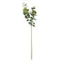 Essential Eucalyptus Spray - Light Green