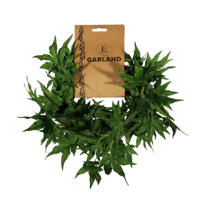 Essential Acer Palmatum Garland - Green