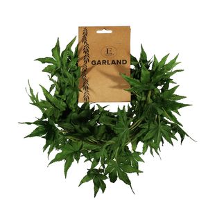 Essential Acer Palmatum Garland - Green