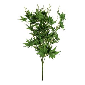 Essential Acer Palmatum Bush - Green