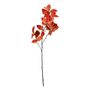 Essential Chestnut Leaves - Orange