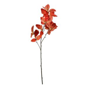 Essential Chestnut Leaves - Orange