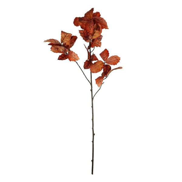 Essential Chestnut Leaves - Brown