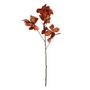 Essential Chestnut Leaves - Brown