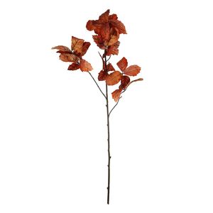 Essential Chestnut Leaves - Brown