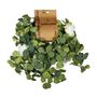 Essential Rose Mixed Garland - Cream