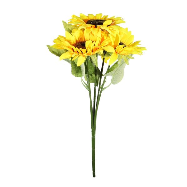 Essential Sunflower Bush