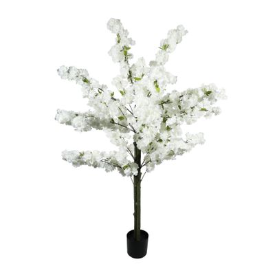 Essential Blossom Tree - White - 160cm