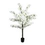 Essential Blossom Tree - White - 160cm