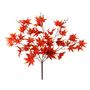 Essential Acer Palmatum Bush - Red