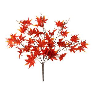 Essential Acer Palmatum Bush - Red