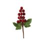 Shiny Grape Pick - Red - 16cm