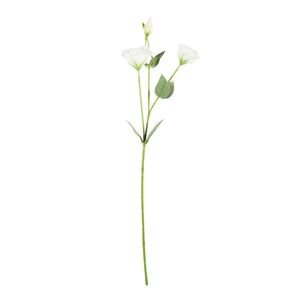 Essential Lisianthus -White