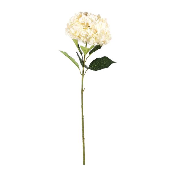 Essential Giant Hydrangea KD - Cream/Pink