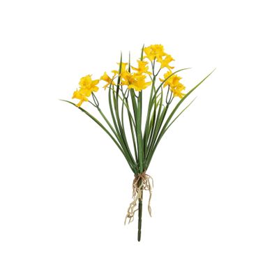 Exterior Daffodil Bush U.V - Yellow