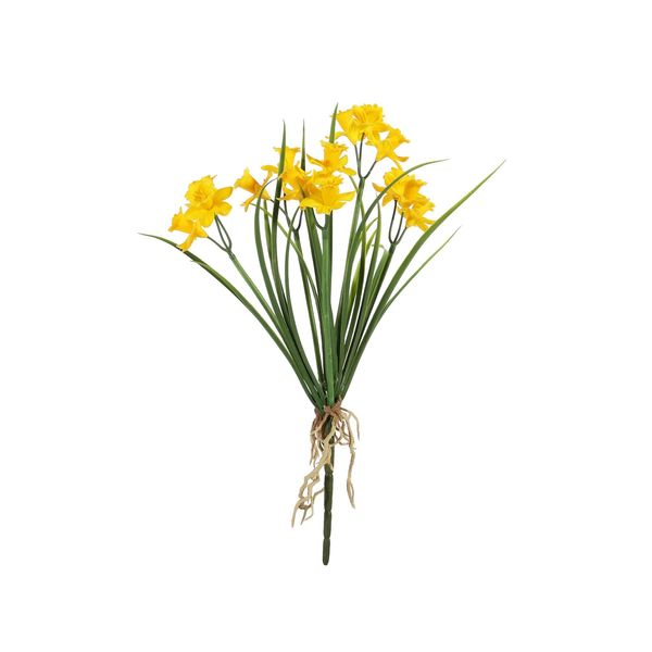 Exterior Daffodil Bush U.V - Yellow