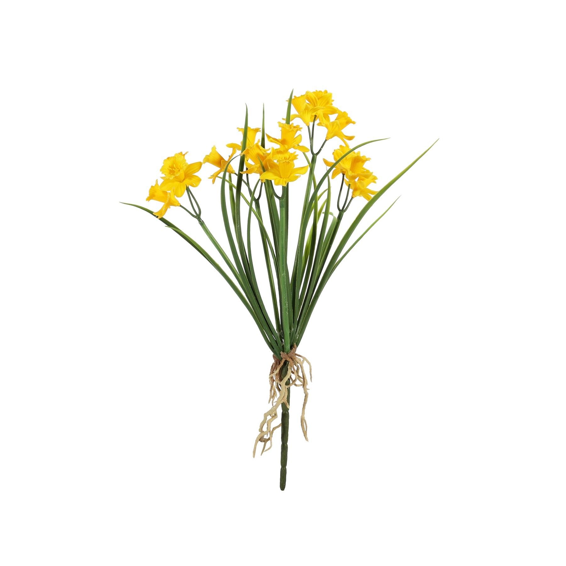 Exterior Daffodil Bush U.V - Yellow
