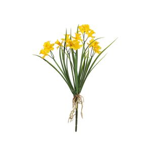 Exterior Daffodil Bush U.V - Yellow