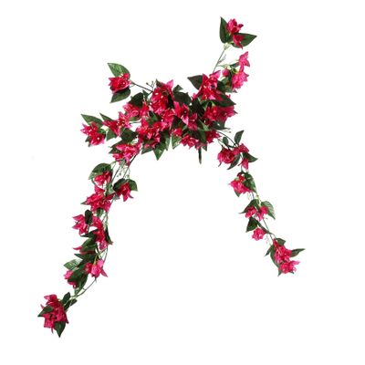 Essential Bougainvillea Bush - Pink