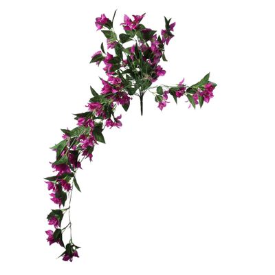 Essential Bougainvillea Bush - Dark Pink
