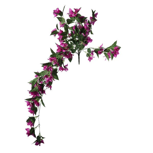 Essential Bougainvillea Bush - Dark Pink