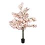 Essential Blossom Tree - Pink - 160cm