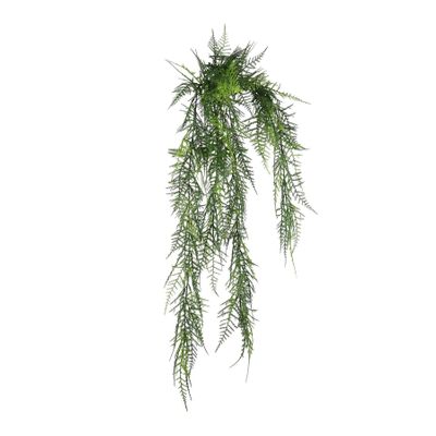 Exterior Junglist Asparagus Bush U.V - 83cm