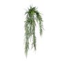 Exterior Junglist Asparagus Bush U.V - 83cm