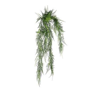 Exterior Junglist Asparagus Bush U.V - 83cm