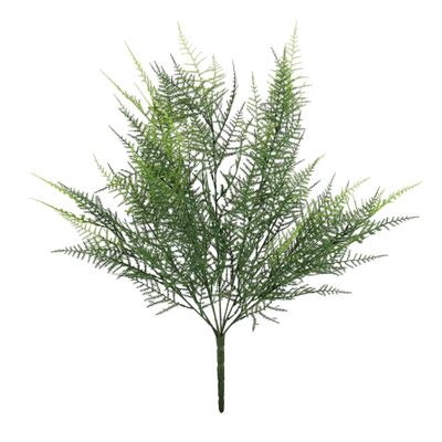 Exterior Junglist Asparagus Bush U.V - 53cm