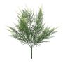 Exterior Junglist Asparagus Bush U.V - 53cm